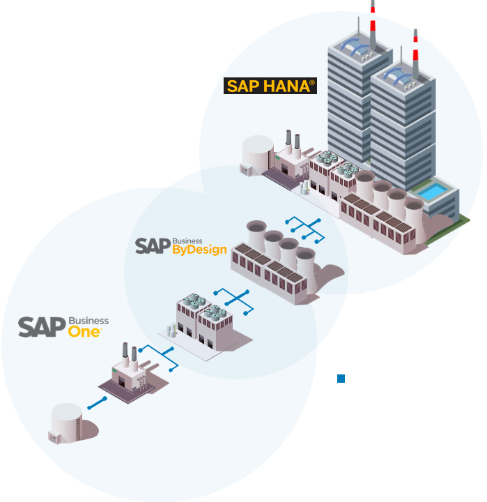 Who Buys Which SAP Product Visual